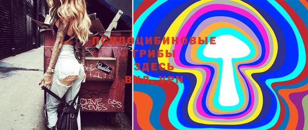 хмурый Алексеевка