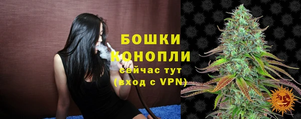 шишки Наволоки