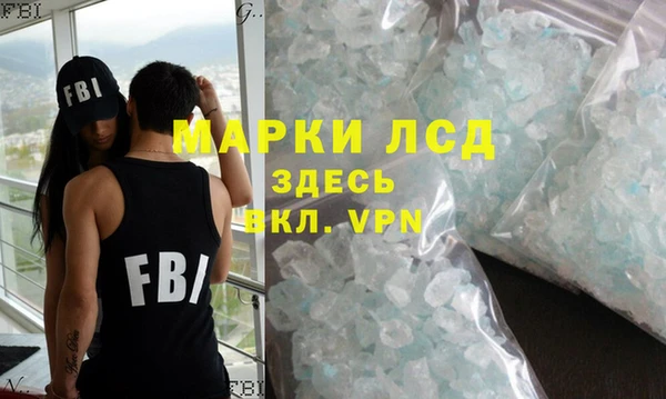 прущие грибы Надым