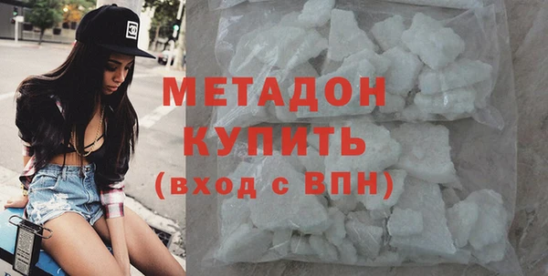 прущие грибы Надым