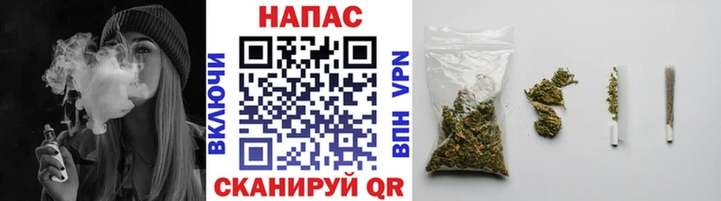 Бошки марихуана White Widow ссылка на мегу ссылка Дыгулыбгей